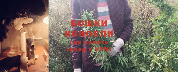 прущие крисы Армянск